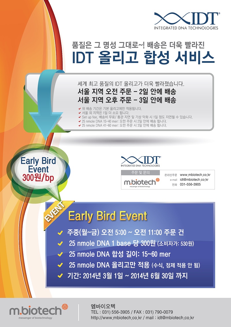 IDT Eirdy bird event-800 (11).jpg